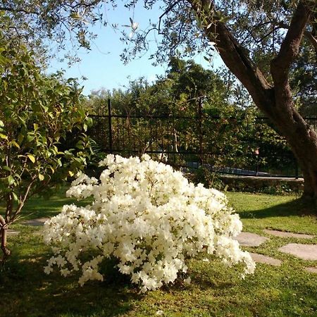 菲纳莱利古雷La Vie Est Belle住宿加早餐旅馆 外观 照片
