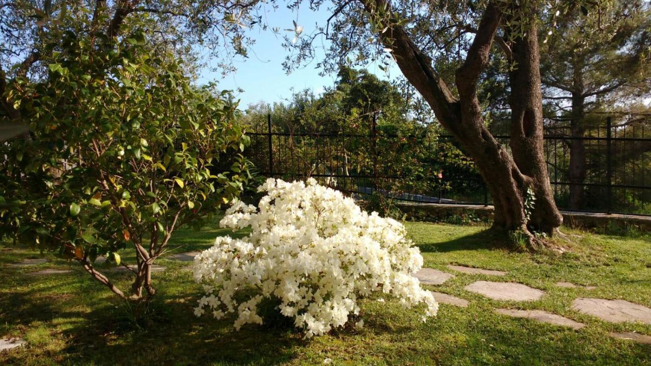 菲纳莱利古雷La Vie Est Belle住宿加早餐旅馆 外观 照片