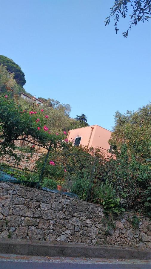 菲纳莱利古雷La Vie Est Belle住宿加早餐旅馆 外观 照片